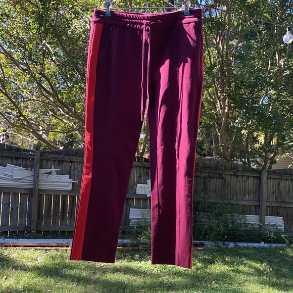 Anthropologie  Pant 10 Purple - Picture 3 of 17